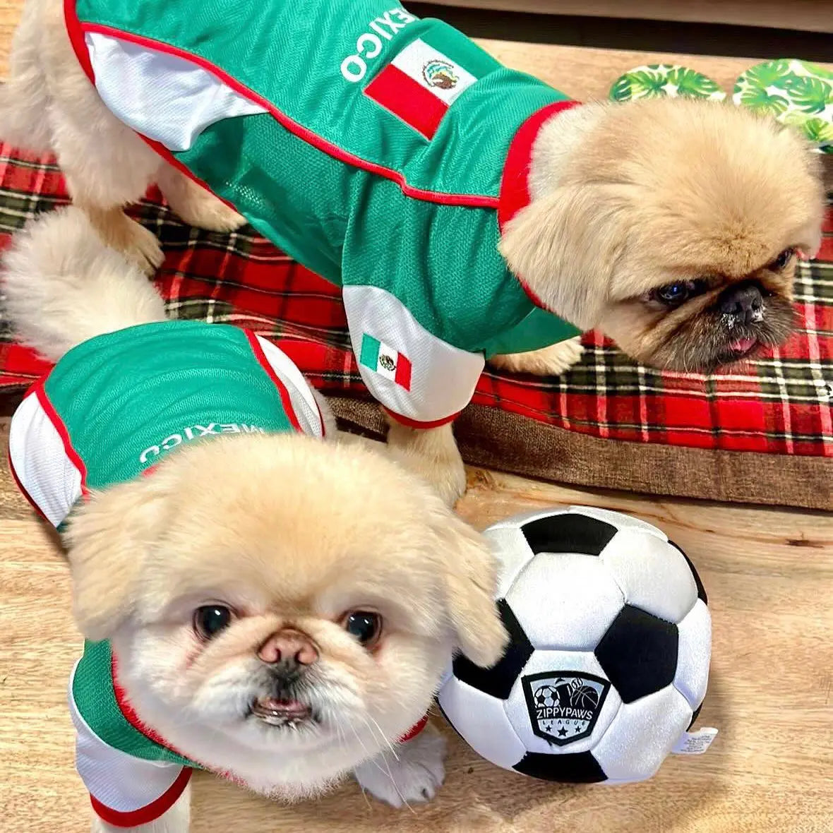 Team Mexico dog jersey breathable soccer shirt for pets
